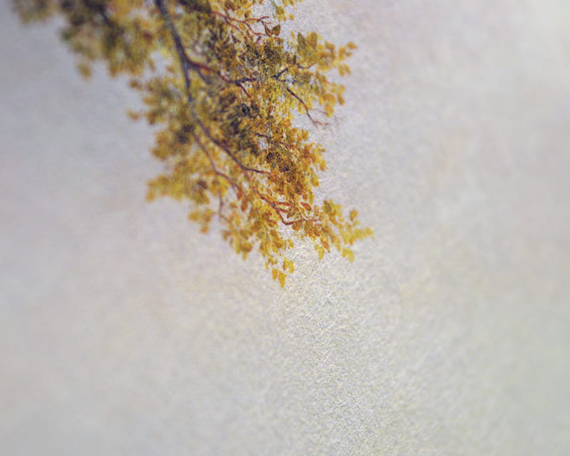 Murakumo Natural, 42g (Dünnes Japanpapier, Natur)  14