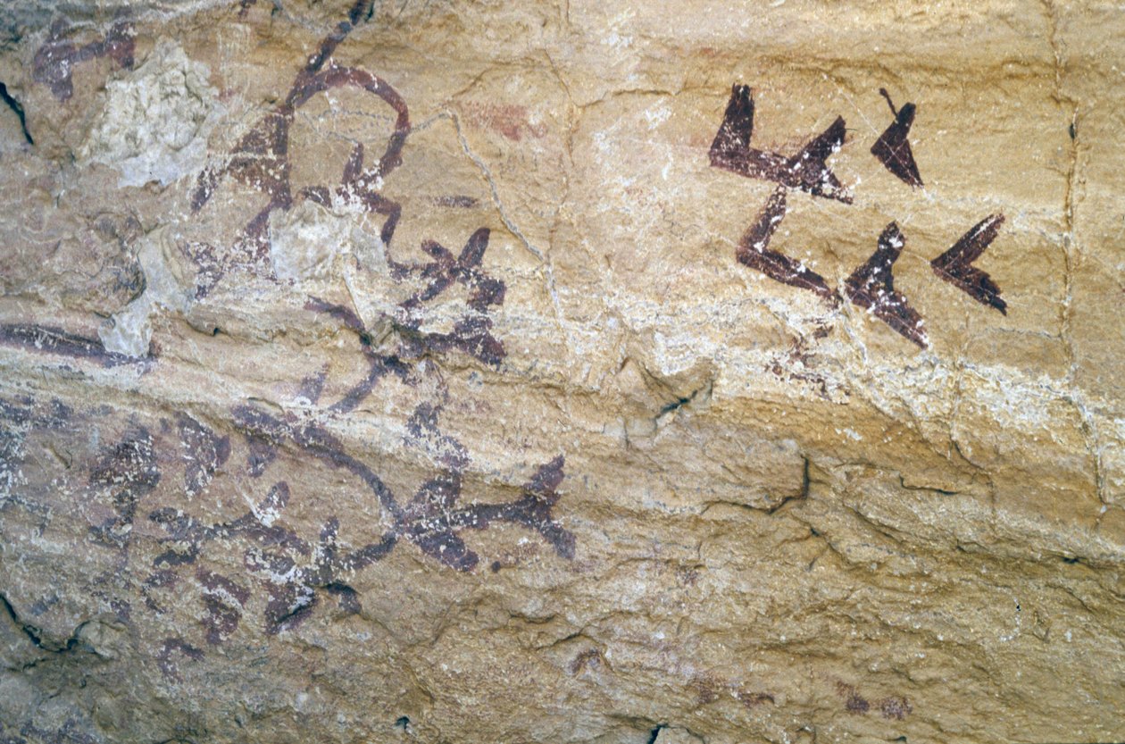 Los Letreros Höhle, Nähe Velez Blanco, Andalusien, 4000 v. Chr., Höhlenmalereien von Vögeln von Unknown