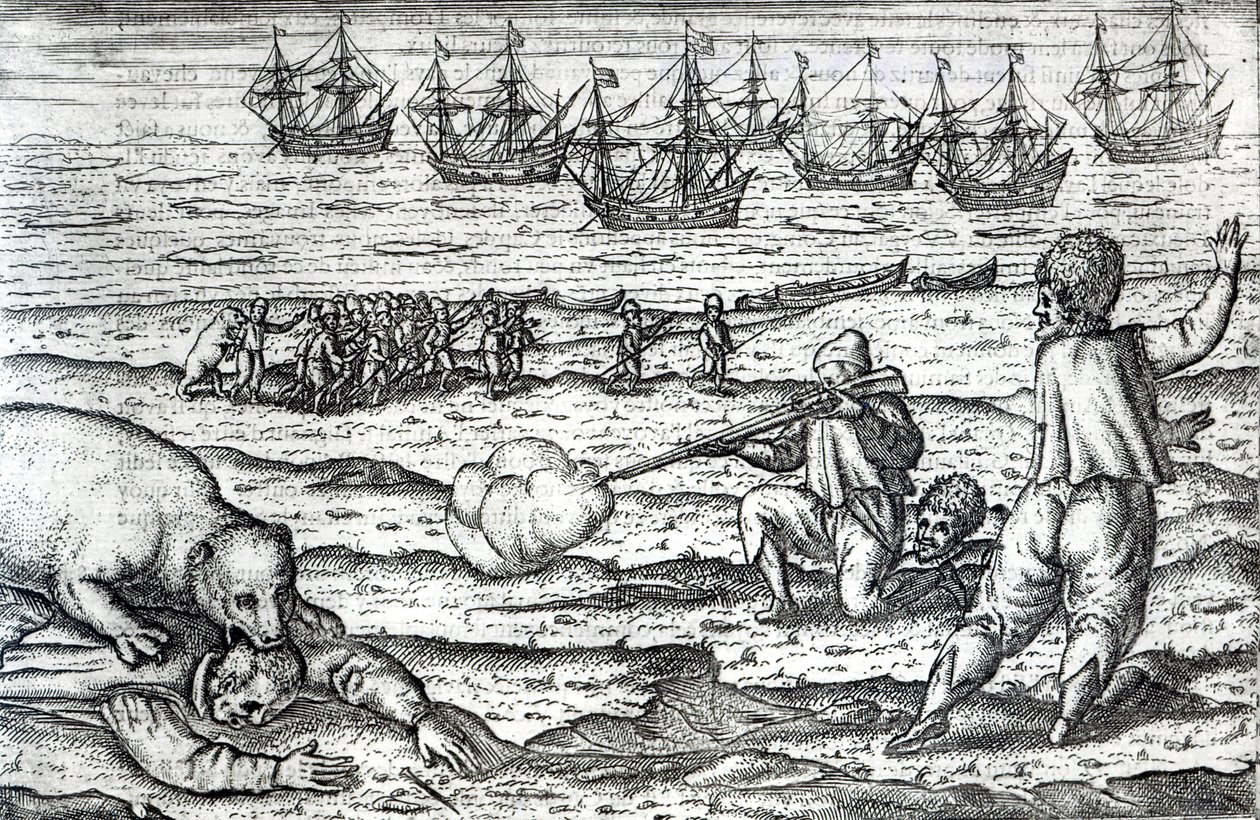 Matrosen von Eisbären angegriffen, Illustration aus 