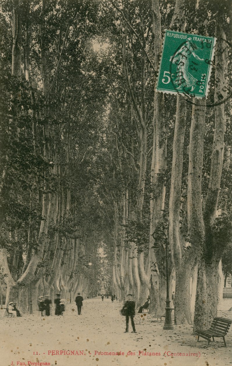 Promenade des Platanes in Perpignan. Postkarte von 1913. von French Photographer