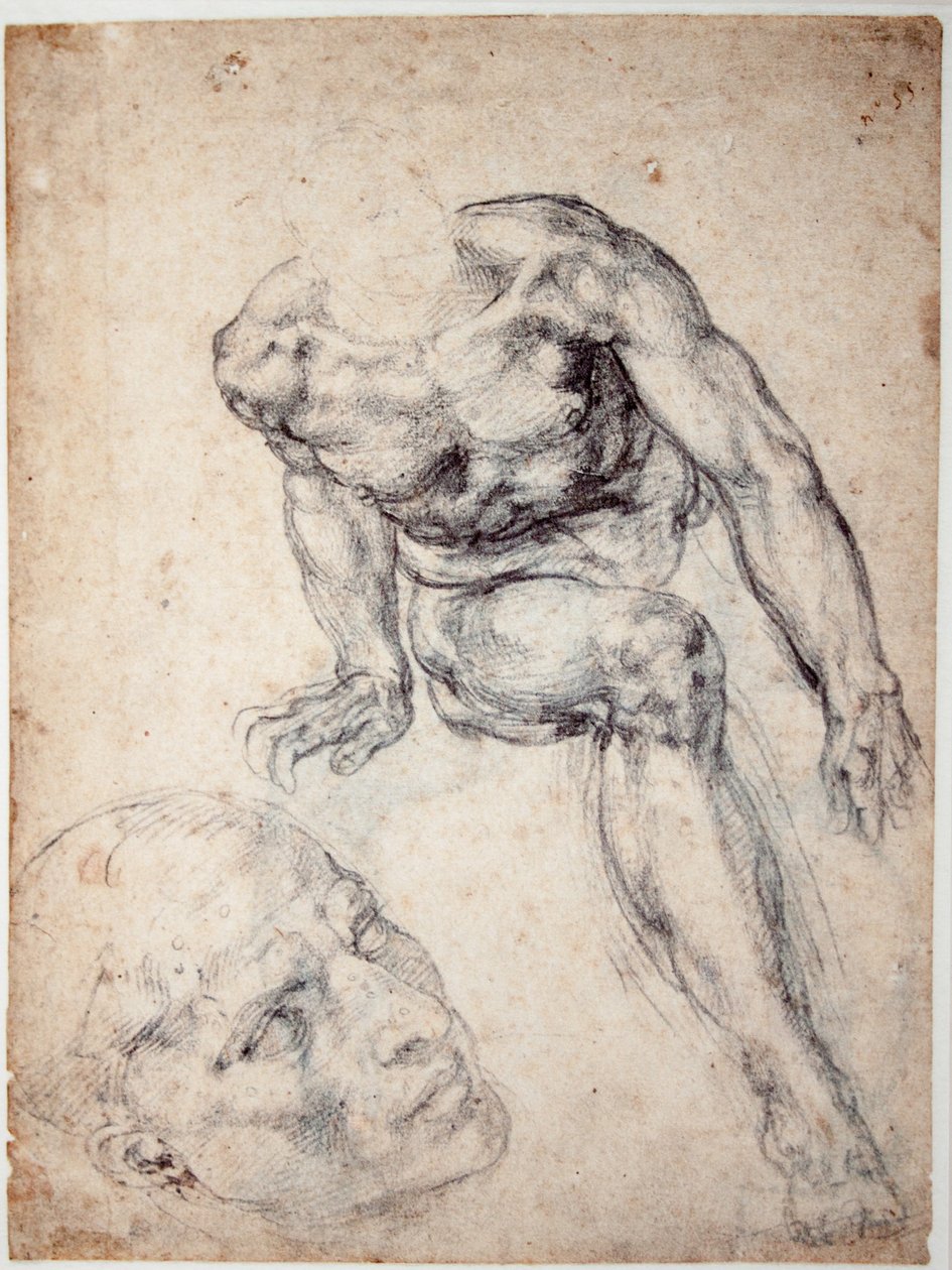 Studie eines männlichen Aktes, separate Studie seines Kopfes von Michelangelo Buonarroti