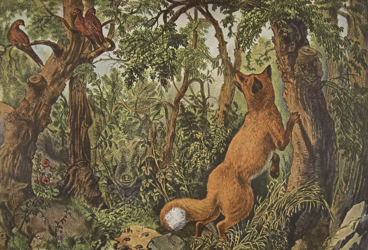 Der verwirrte Fuchs von American School