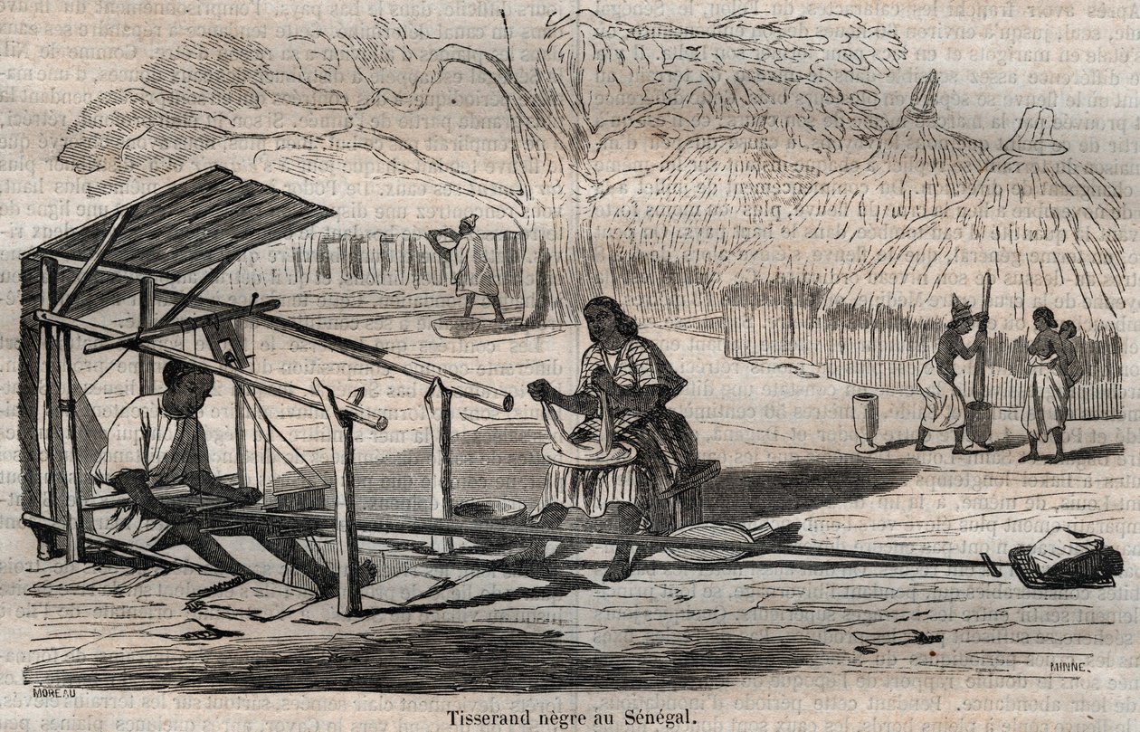 Senegalesischer schwarzer Weber von French School
