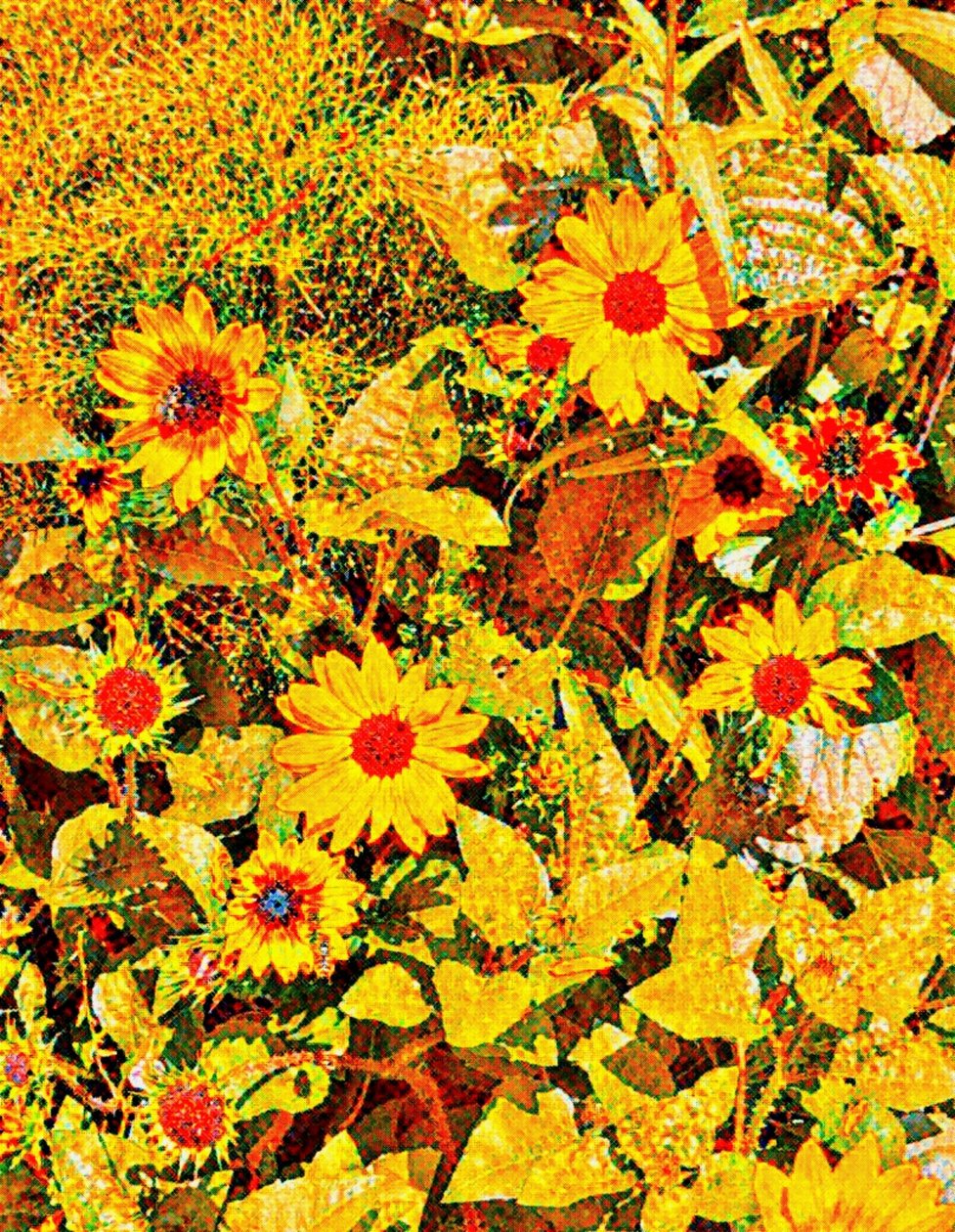 Sonnenblumen für Van Gogh. von Margareta Uliarte