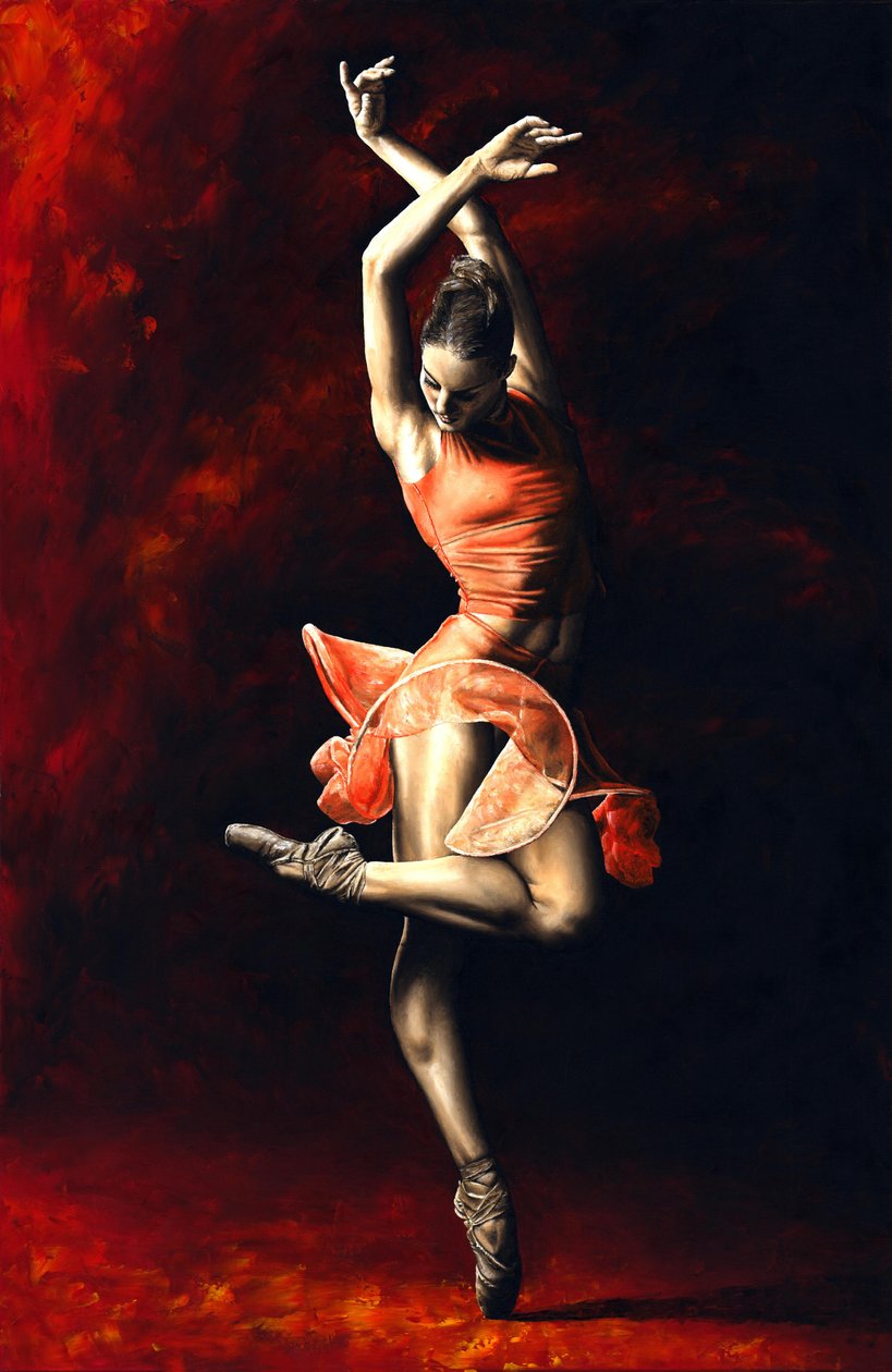 The Passion of Dance von Richard Young