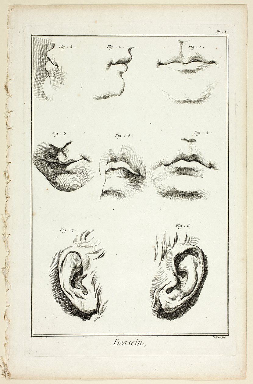 Design: Gesichtsanatomie aus der Encyclopédie von A. J. Defehrt