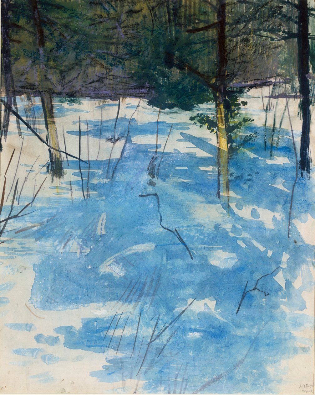 Winter, Monadnock von Abbott Handerson Thayer