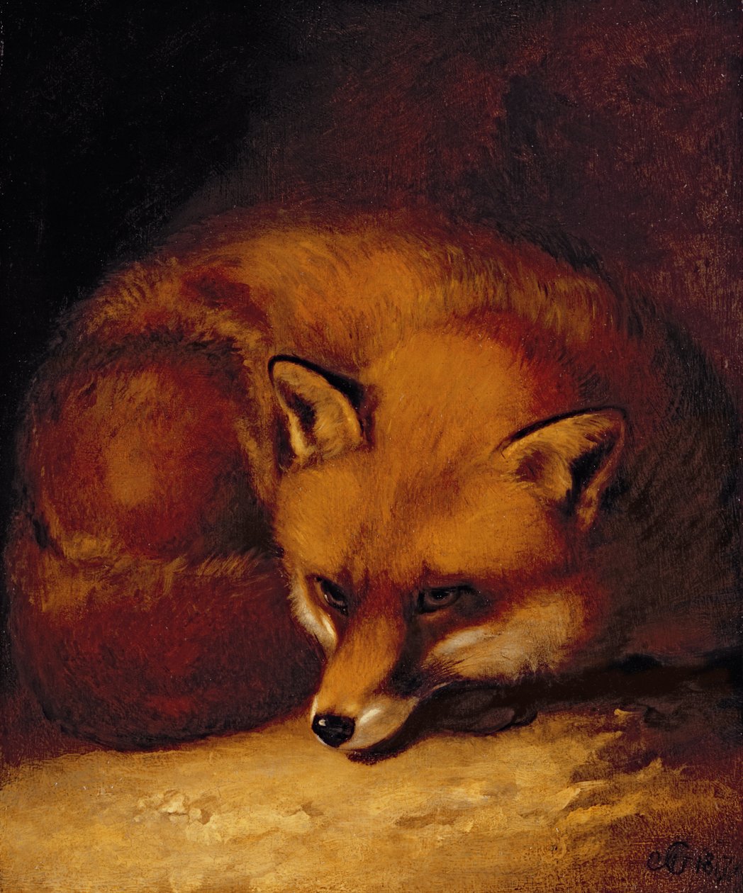 Ein Fuchs von Abraham Cooper