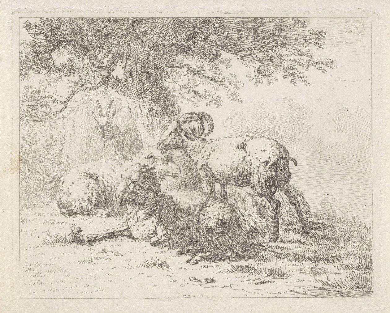 Schafe und ein Bock von Abraham Hendrik Winter
