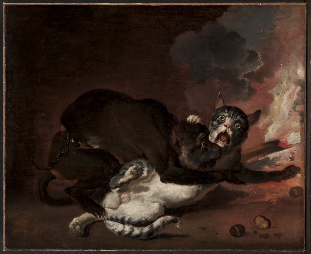 Der Affe und die Katze von Abraham Hondius