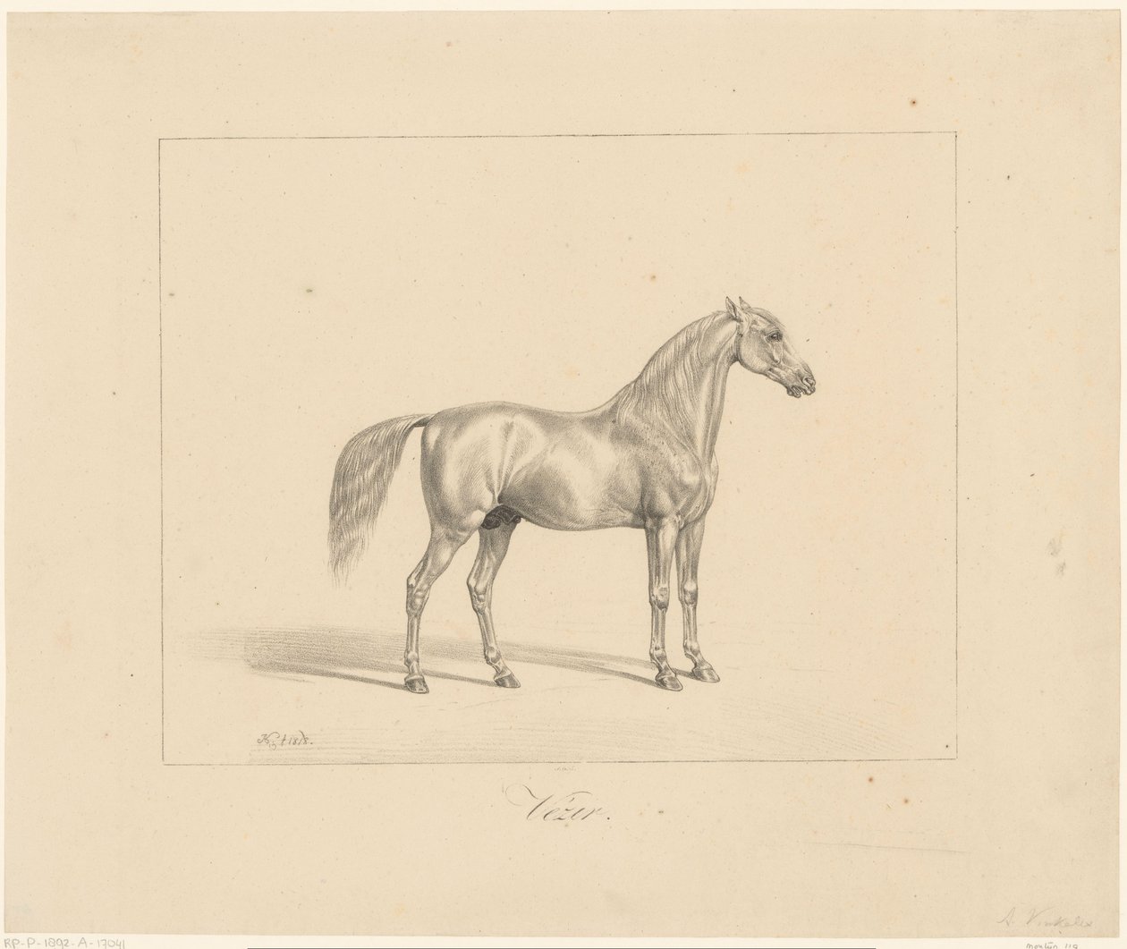Arabischer Hengst von Abraham Vinkeles