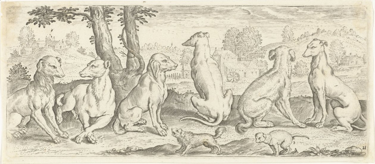 Hunde von Abraham de Bruyn (possibly)