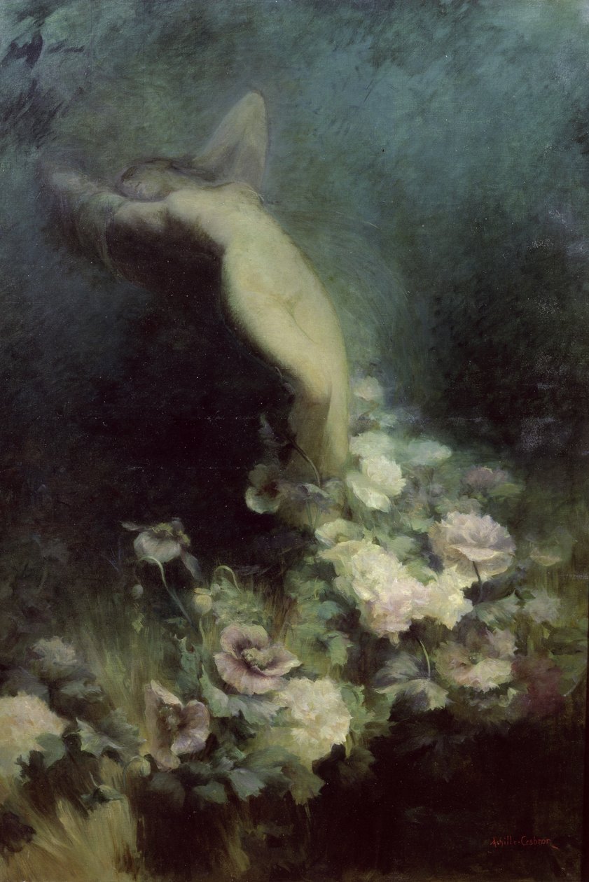 Die Blumen des Schlafes von Achille Theodore Cesbron