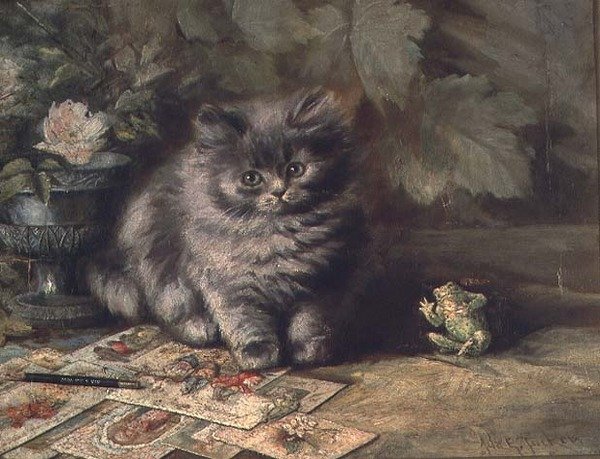 Porträt eines Kätzchens von Ada Eliza Tucker