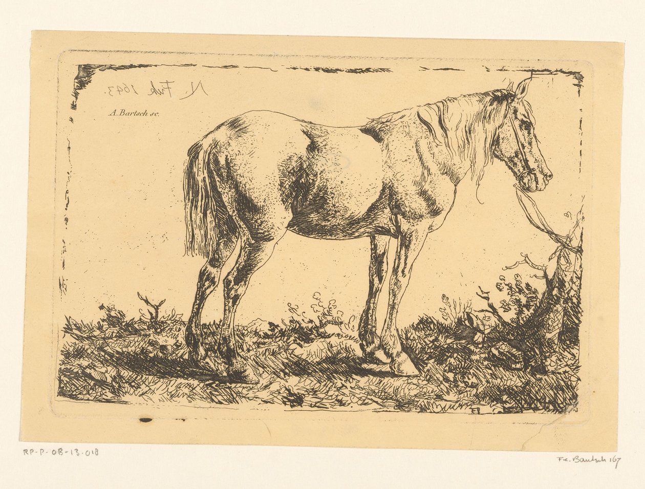 Pferd an einem Baum von Adam von Bartsch