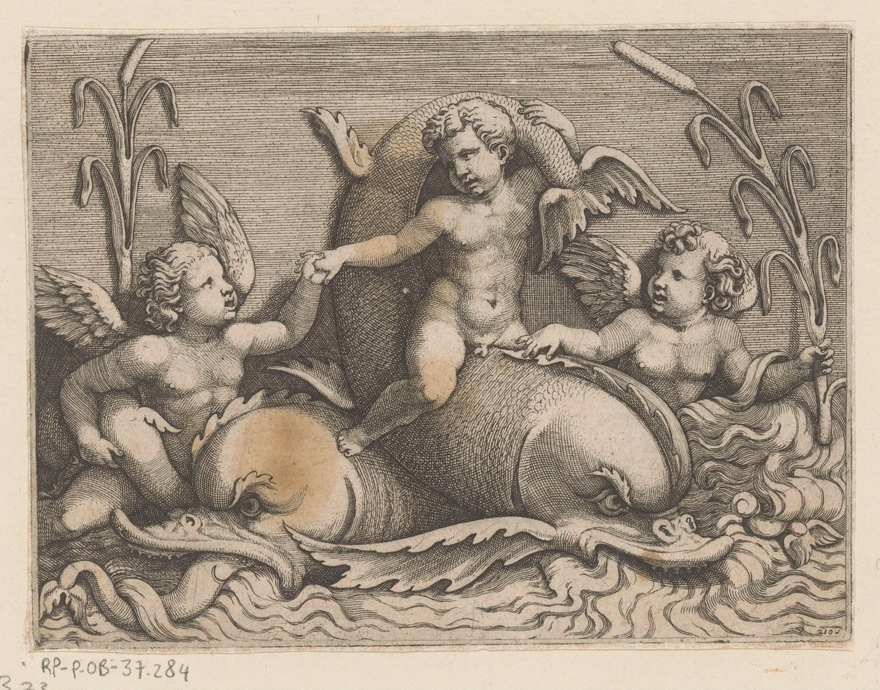 Drei Putti mit Delfinen von Adamo Scultori