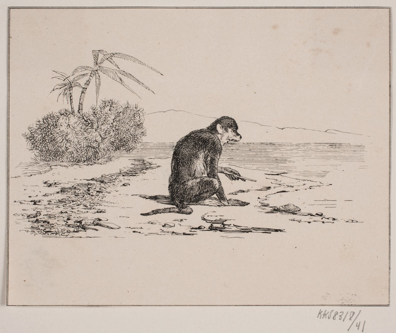 Affenkatze von Johan Adolph Kittendorff