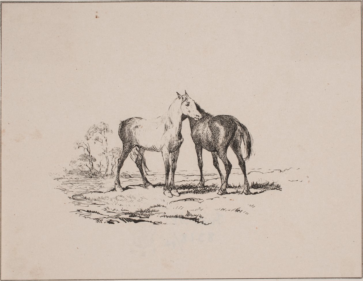 Die zwei Pferde von Johan Adolph Kittendorff