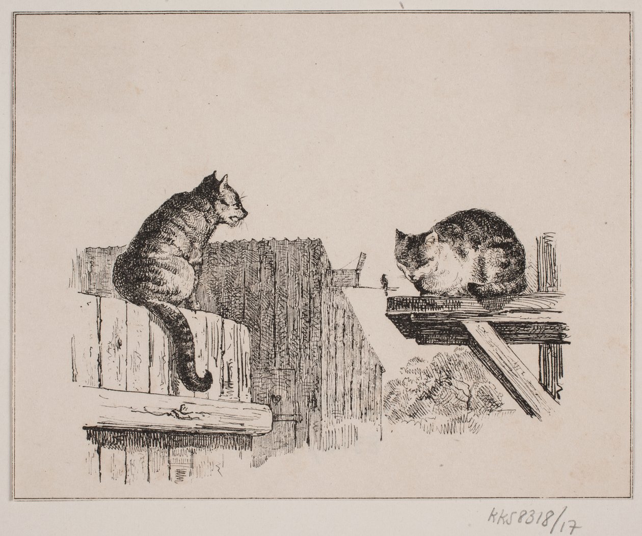Die zwei Katzen von Johan Adolph Kittendorff
