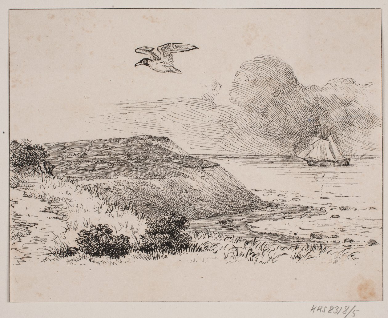 Die Möwe von Johan Adolph Kittendorff