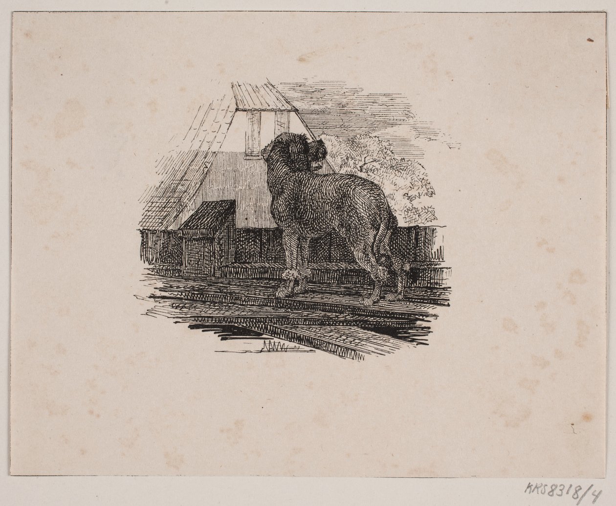 Der Pudel von Johan Adolph Kittendorff