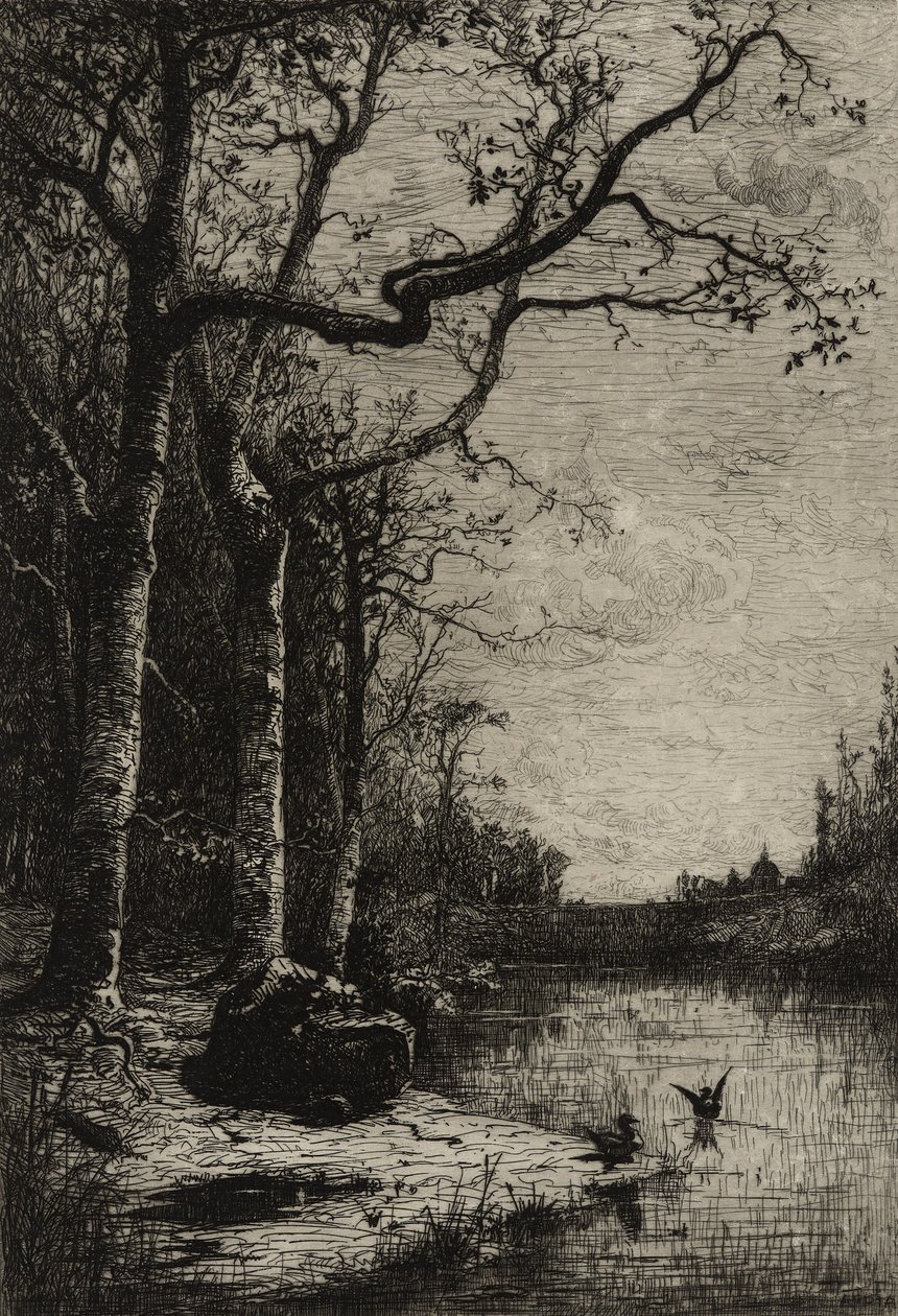 Der Burbanche-Sumpf (große Platte), ca. 1870 von Adolphe Appian