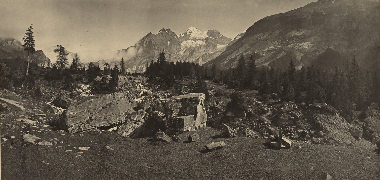 Alpenlandschaft von Adolphe Braun