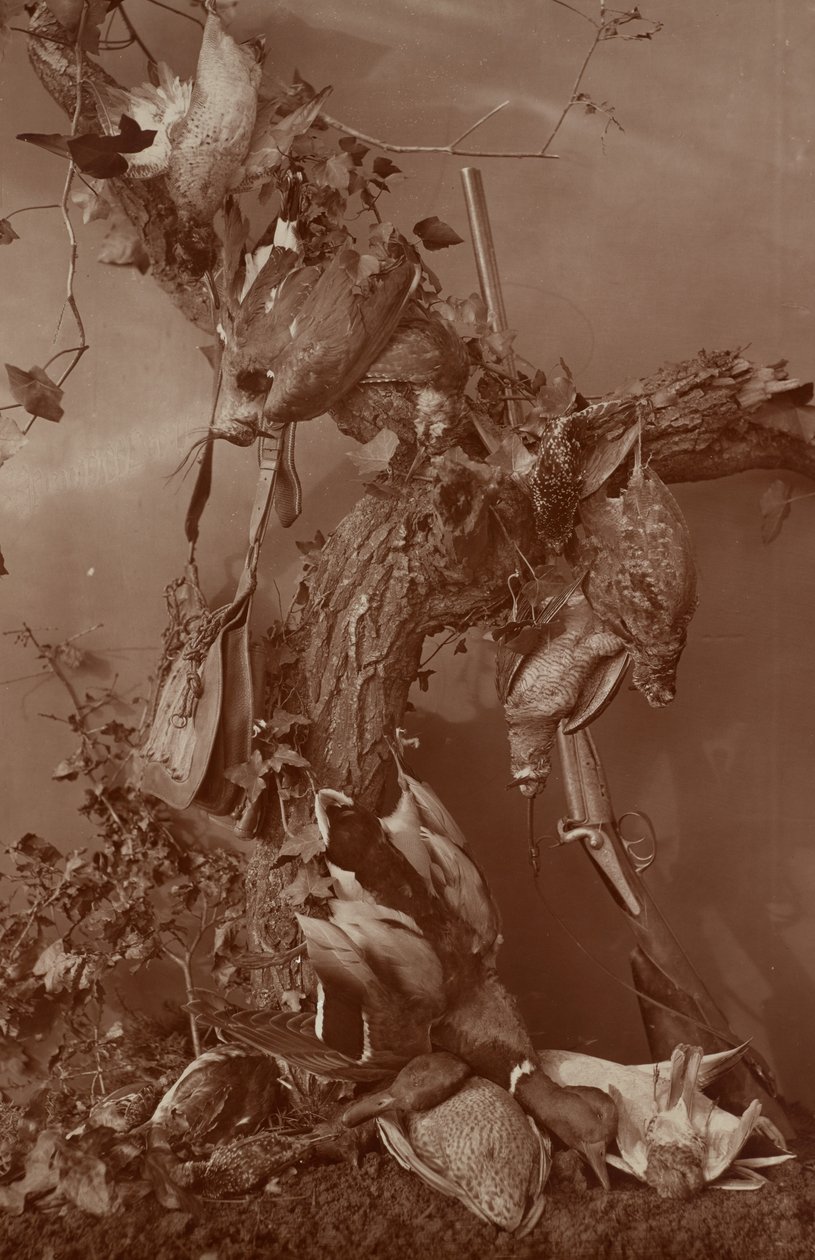 [Stillleben: Totes Wild] von Adolphe Braun