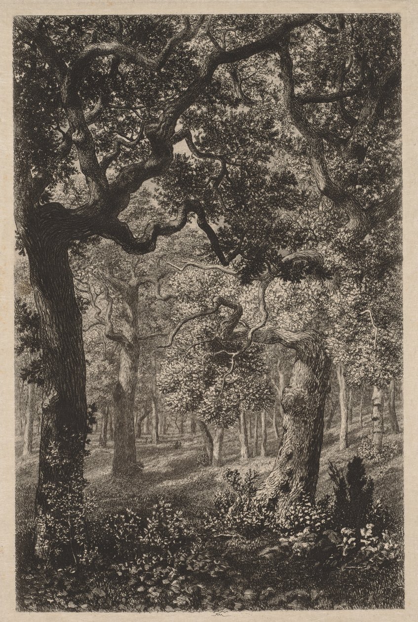Im Wald von Adolphe Théodore Jules Martial Potémont