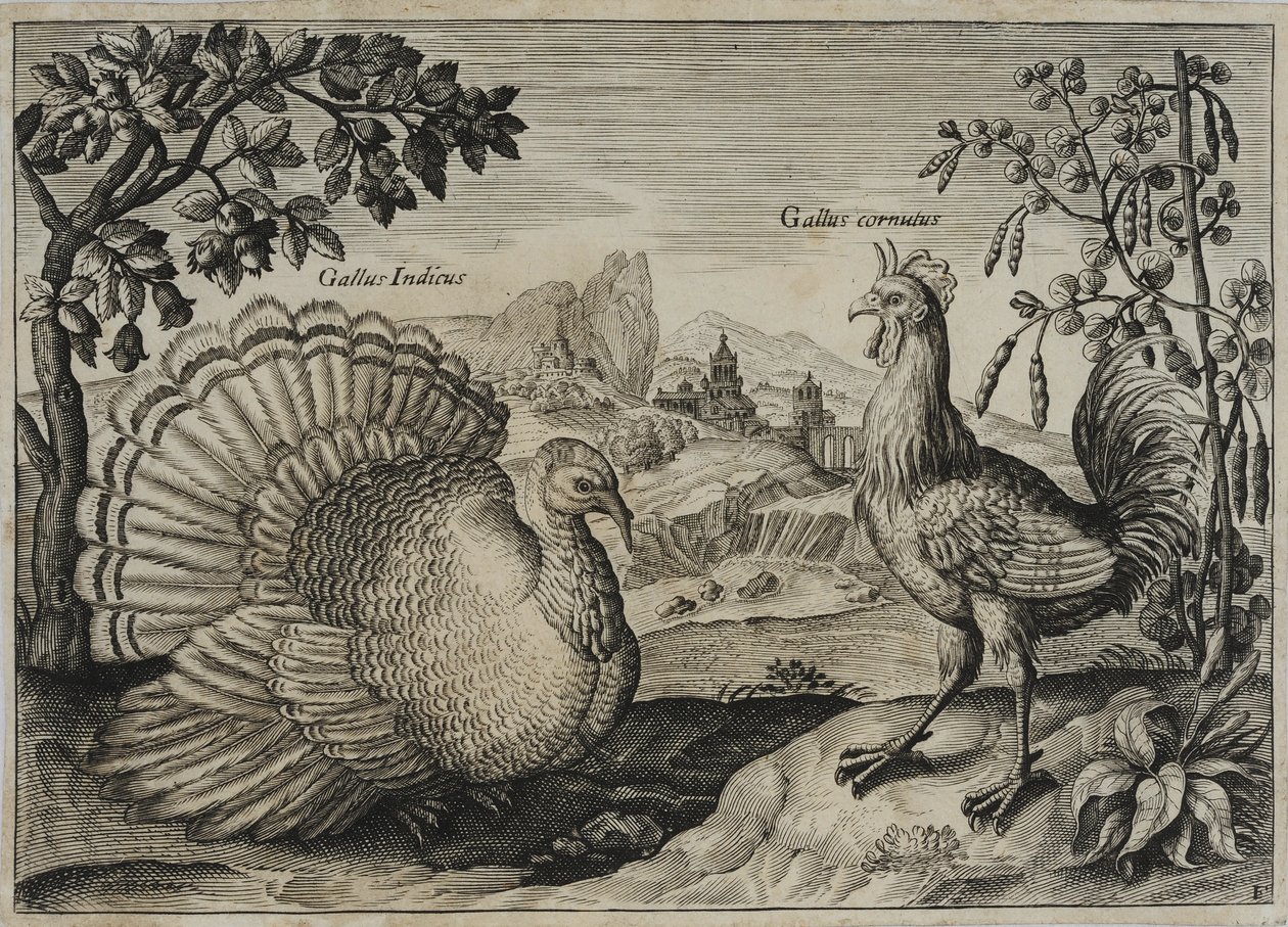 Alte Meister Gravur von Adriaen Collaert