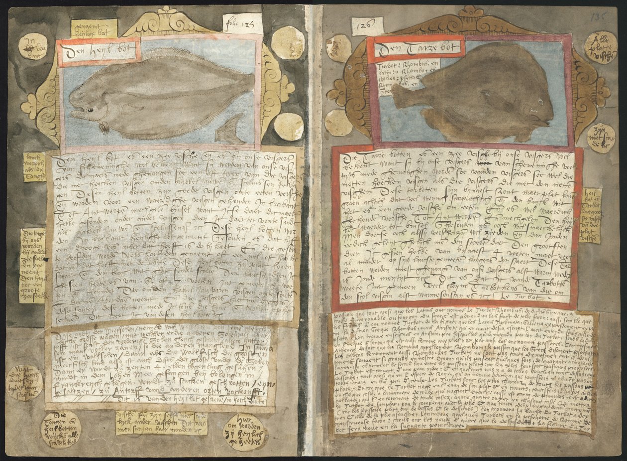 Adriaen Coenens Visboeck von Adriaen Coenen