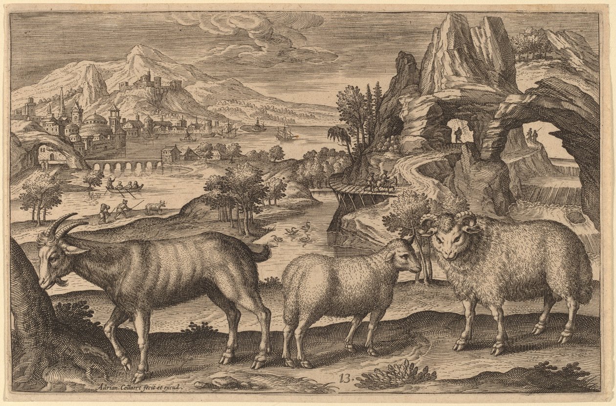 Eine Ziege, ein Mutterschaf und ein Widder von Adriaen Collaert