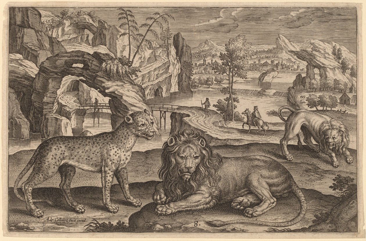 Ein Leopard und zwei Löwen von Adriaen Collaert