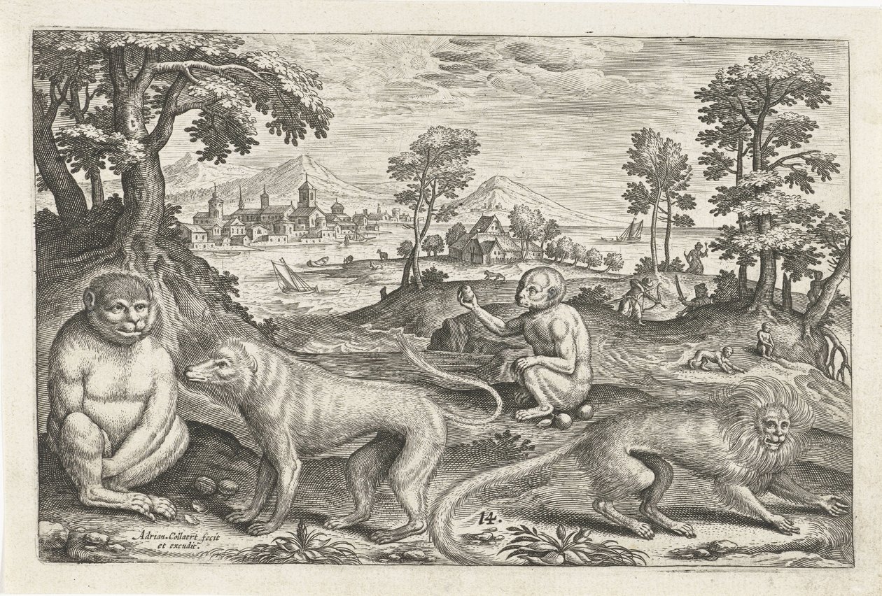 Affen von Adriaen Collaert