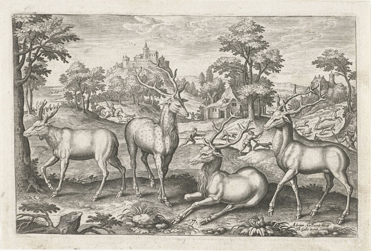 Hirsche von Adriaen Collaert
