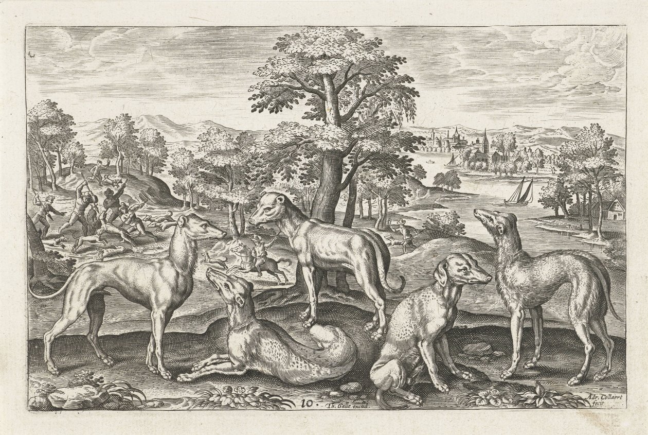Jachthunde von Adriaen Collaert