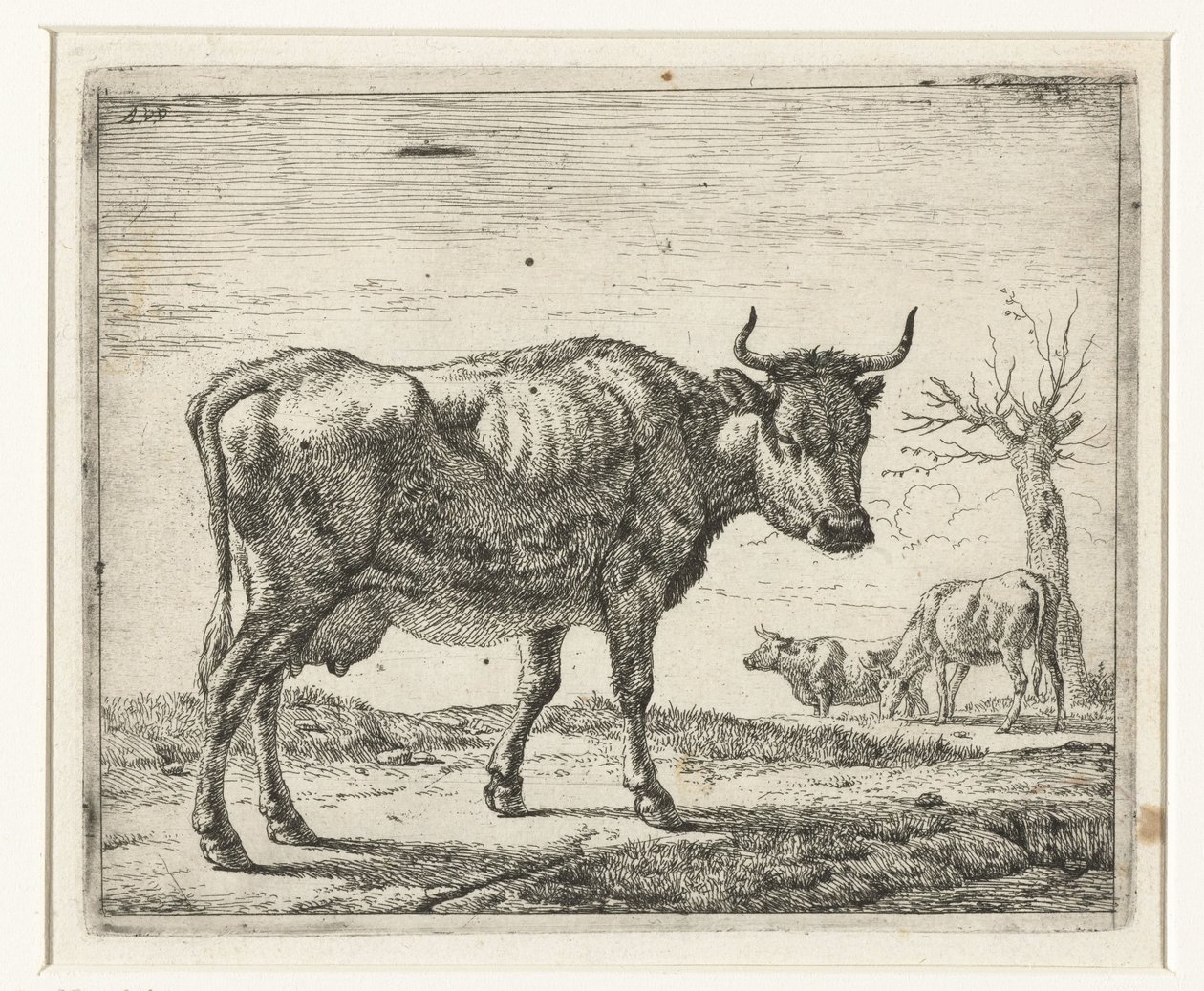 Drei Kühe von Adriaen van de Velde
