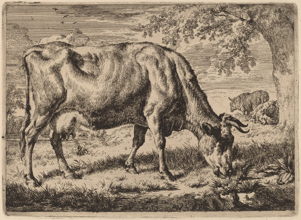 Weidende Kuh mit zwei Schafen von Adriaen van de Velde