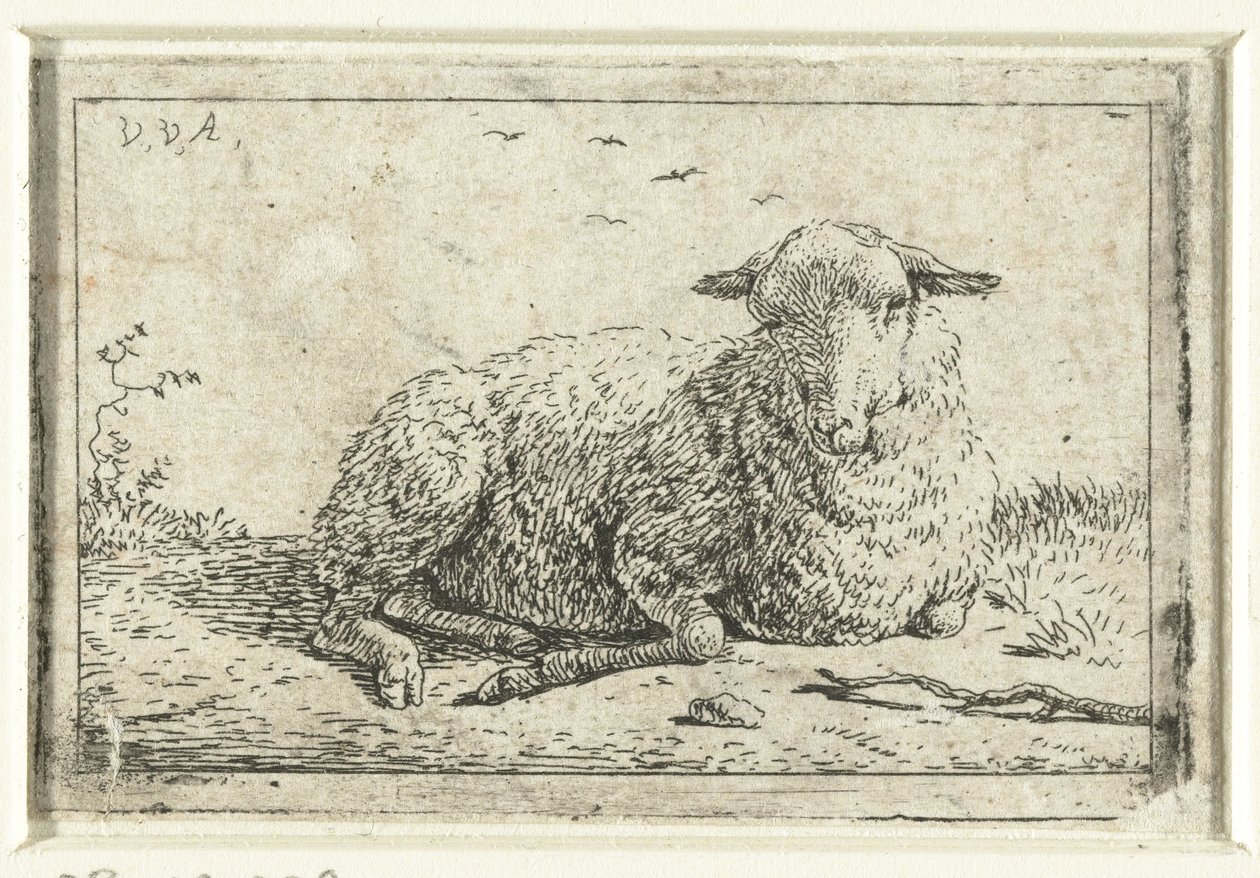 Liegendes Schaf von Adriaen van de Velde