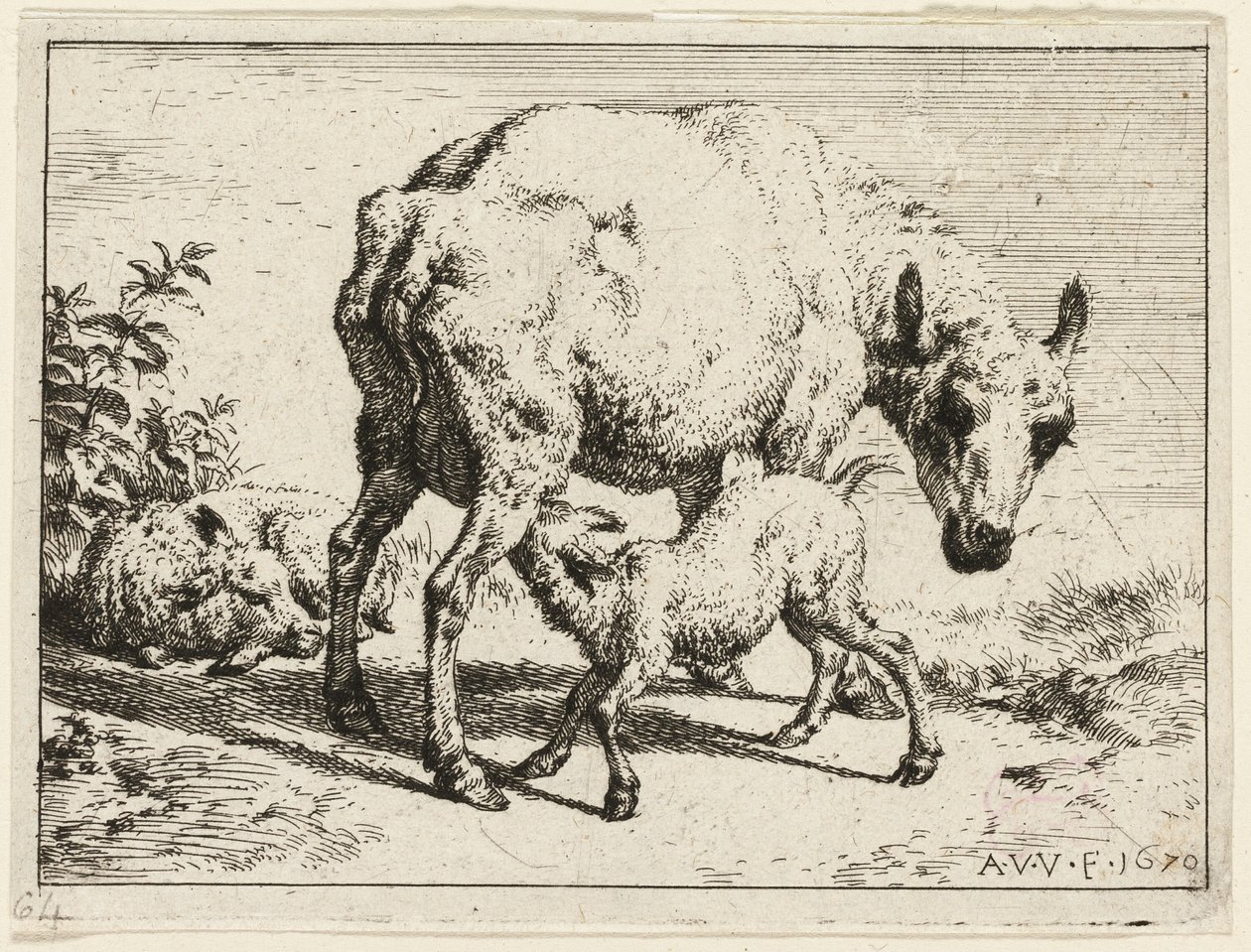 Das Lamm von Adriaen van de Velde