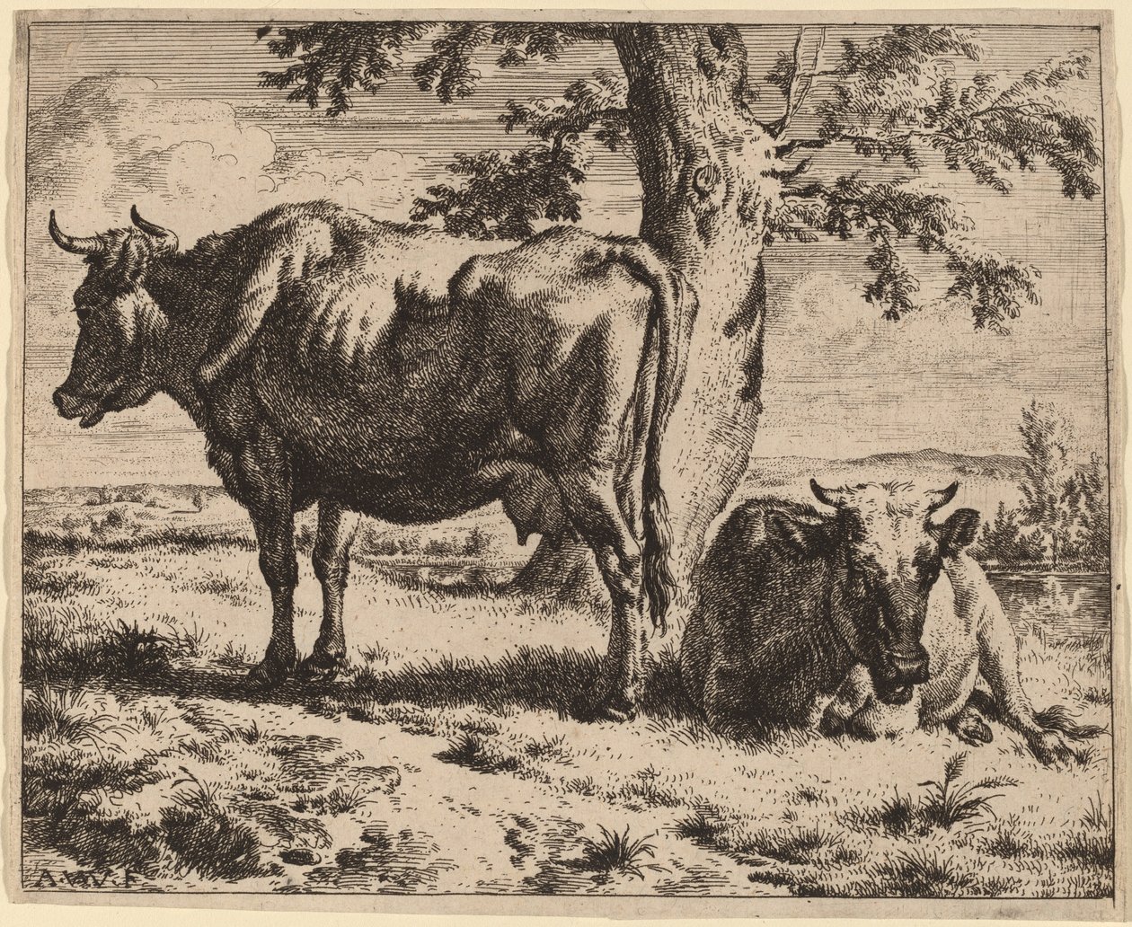 Zwei Kühe unter einem Baum von Adriaen van de Velde