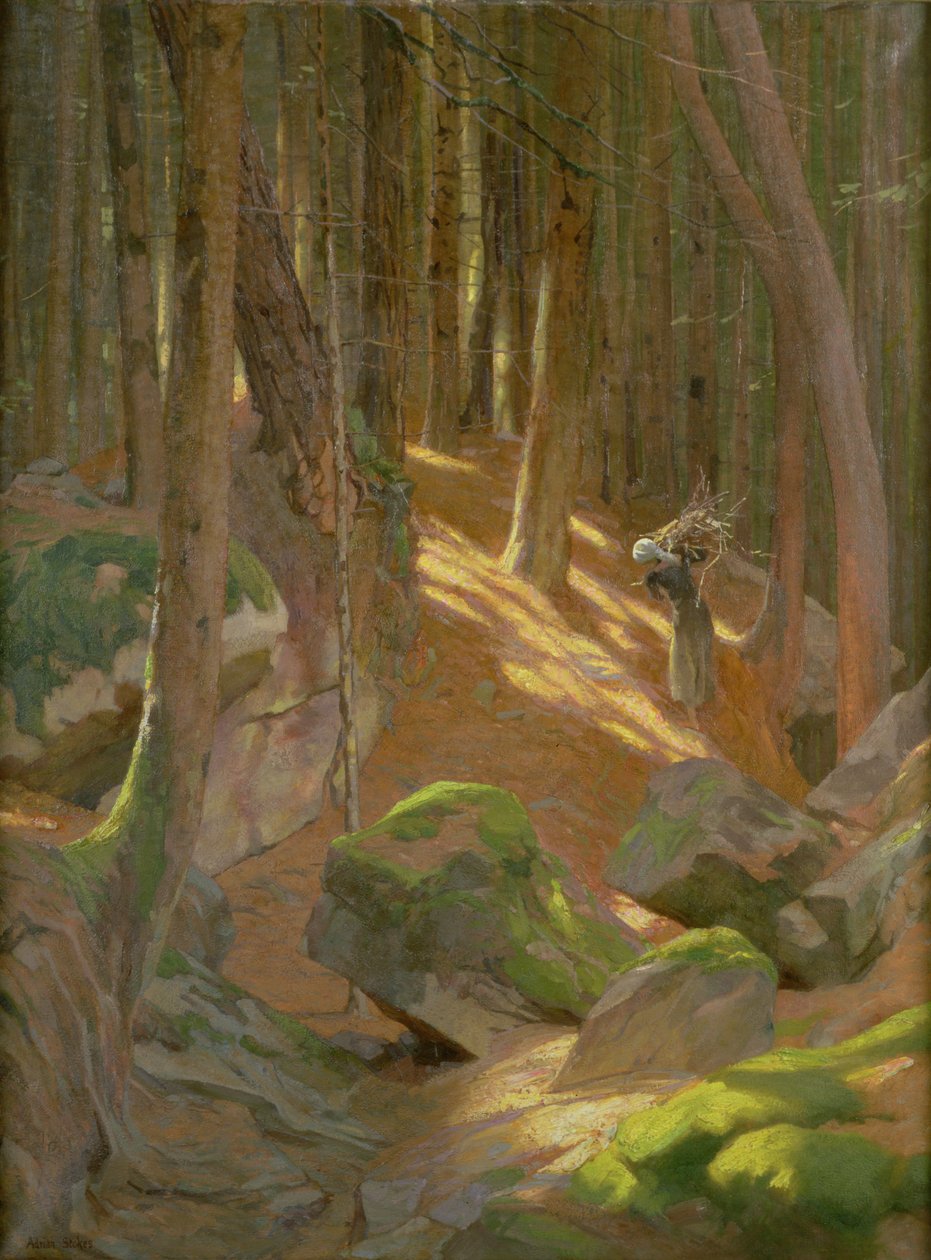Dämmerung in einem Wald von Adrian Scott Stokes