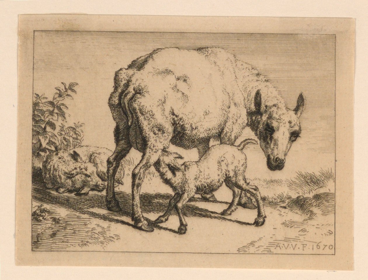Das Mutterschaf von Adrian van de Velde