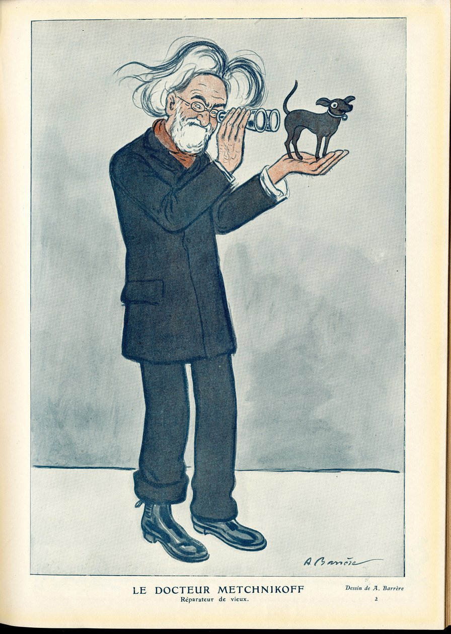 Fantasio von Adrien Barrere