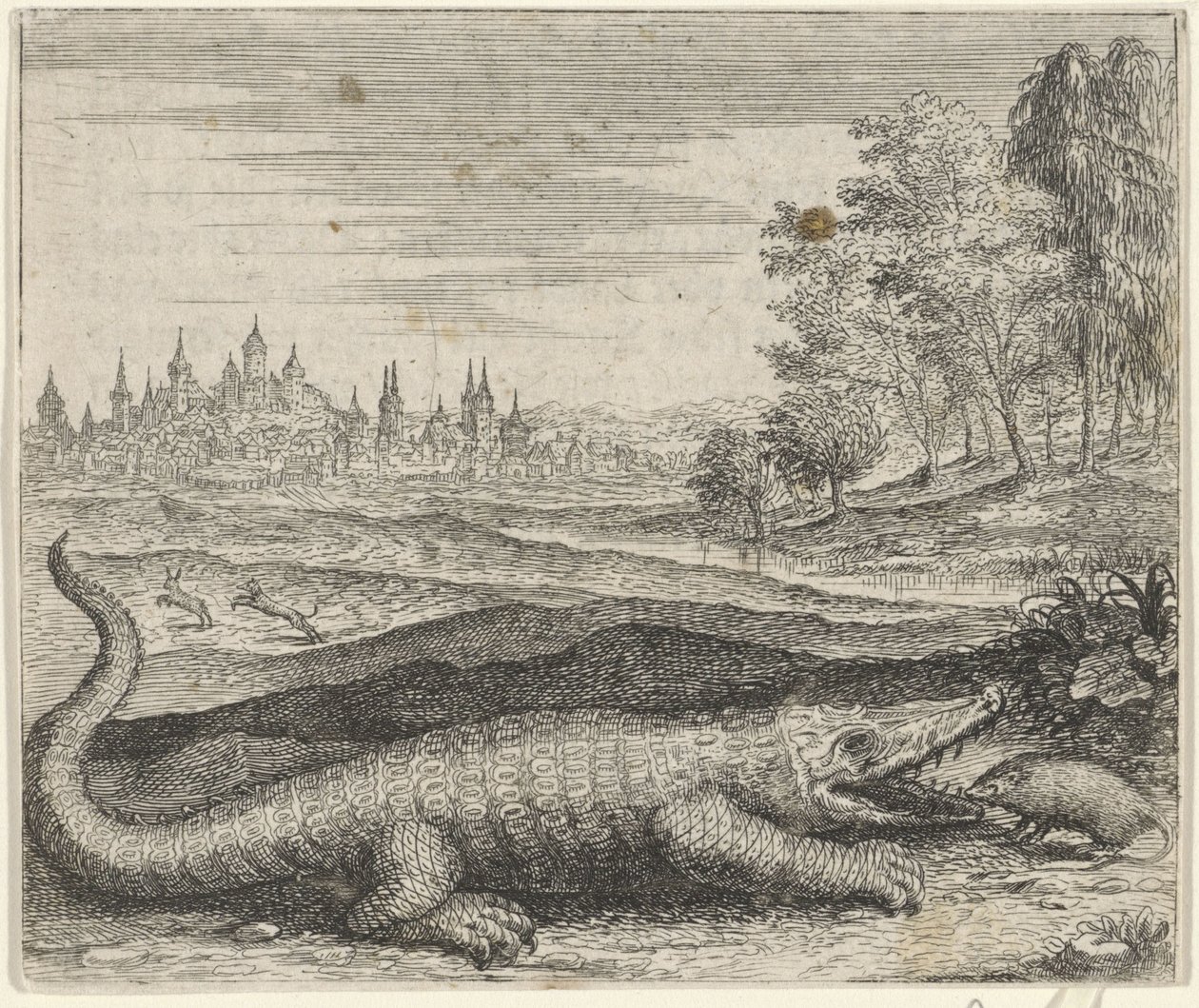 Fabel vom Krokodil und Mungo von Egidius  Sadeler (II)