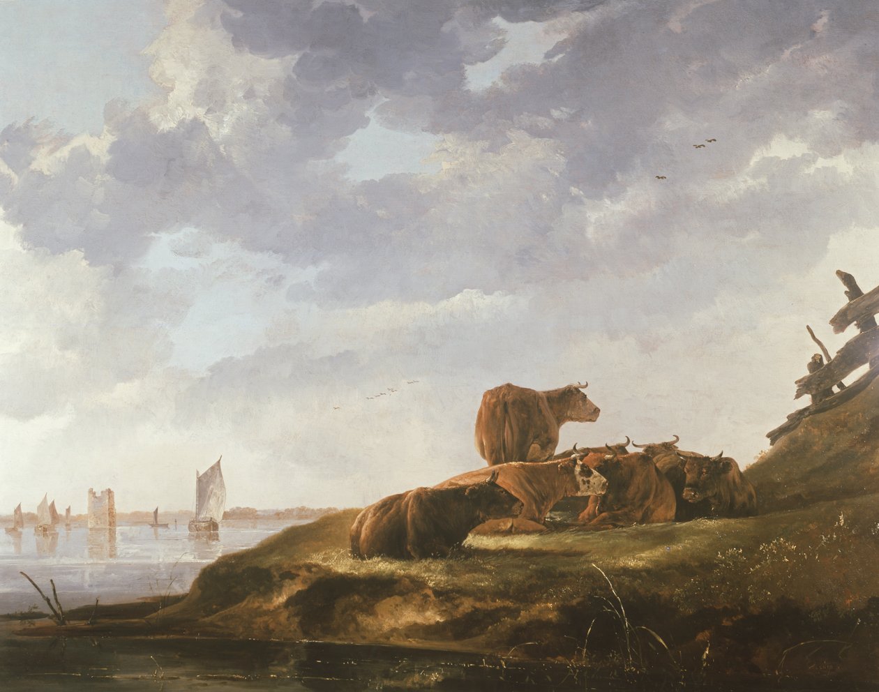 Sieben Kühe von Aelbert Cuyp