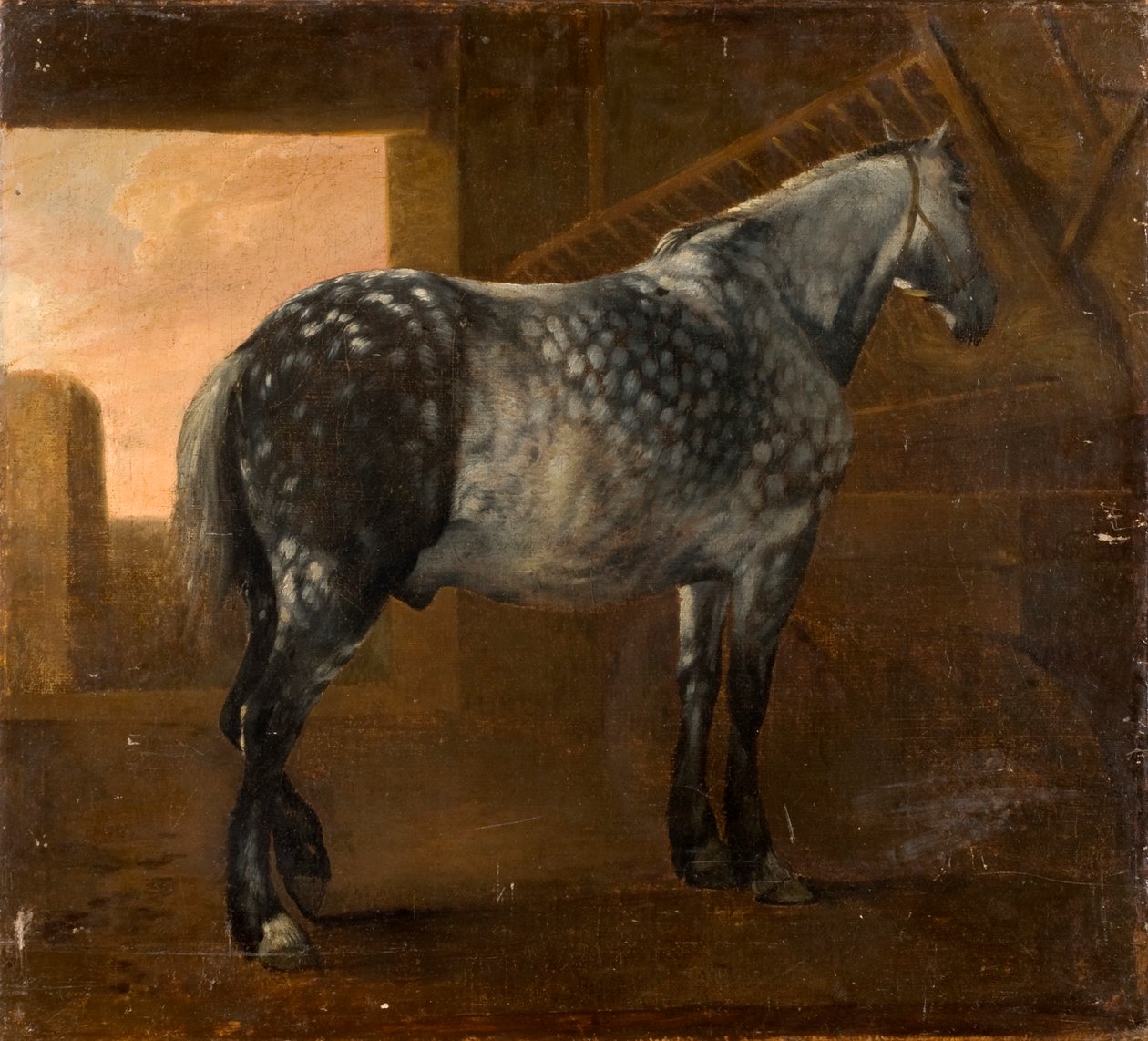Ein Apfelschimmel von Aelbert Cuyp