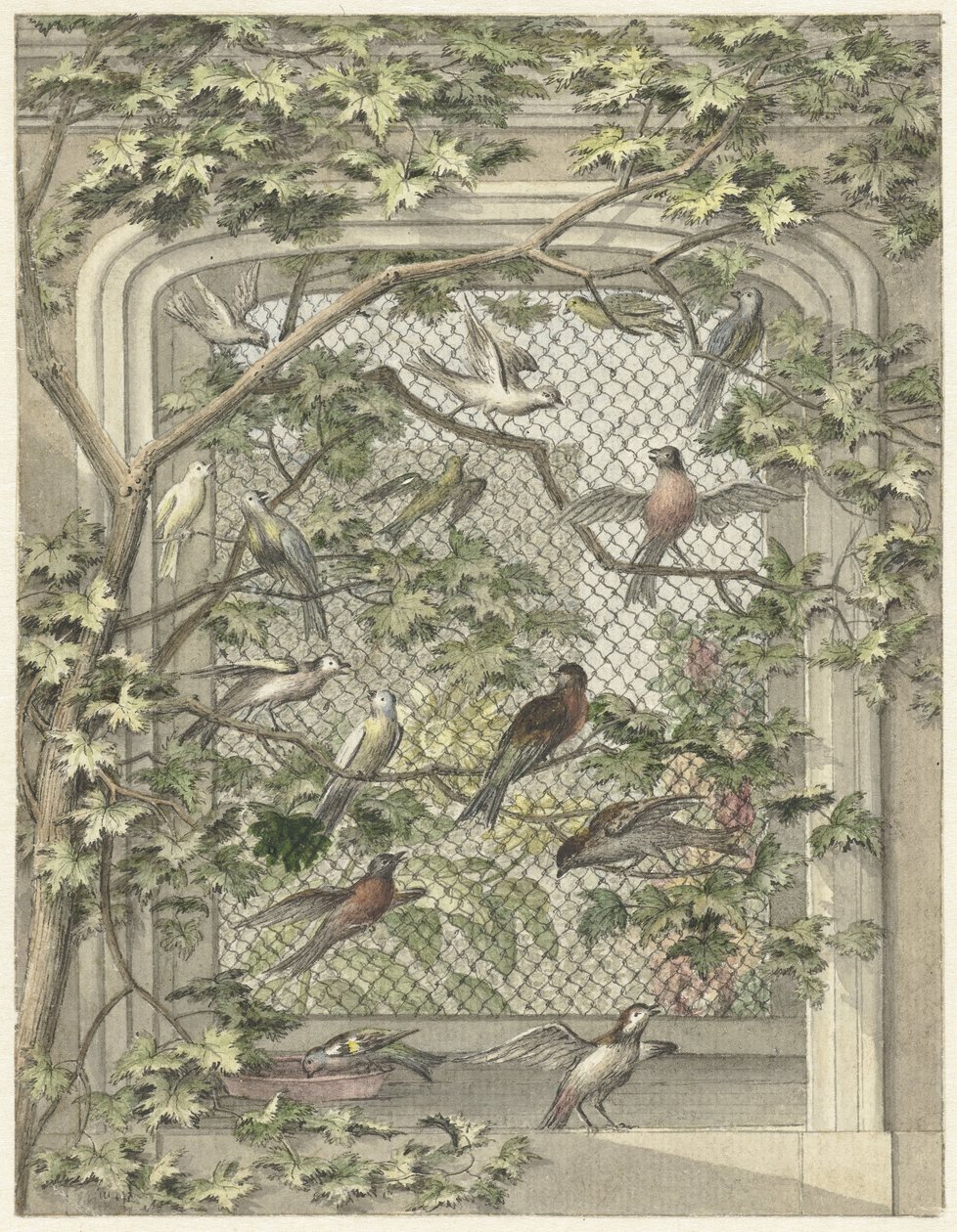 Voliere mit vierzehn Vögeln von Aert Schouman (possibly)