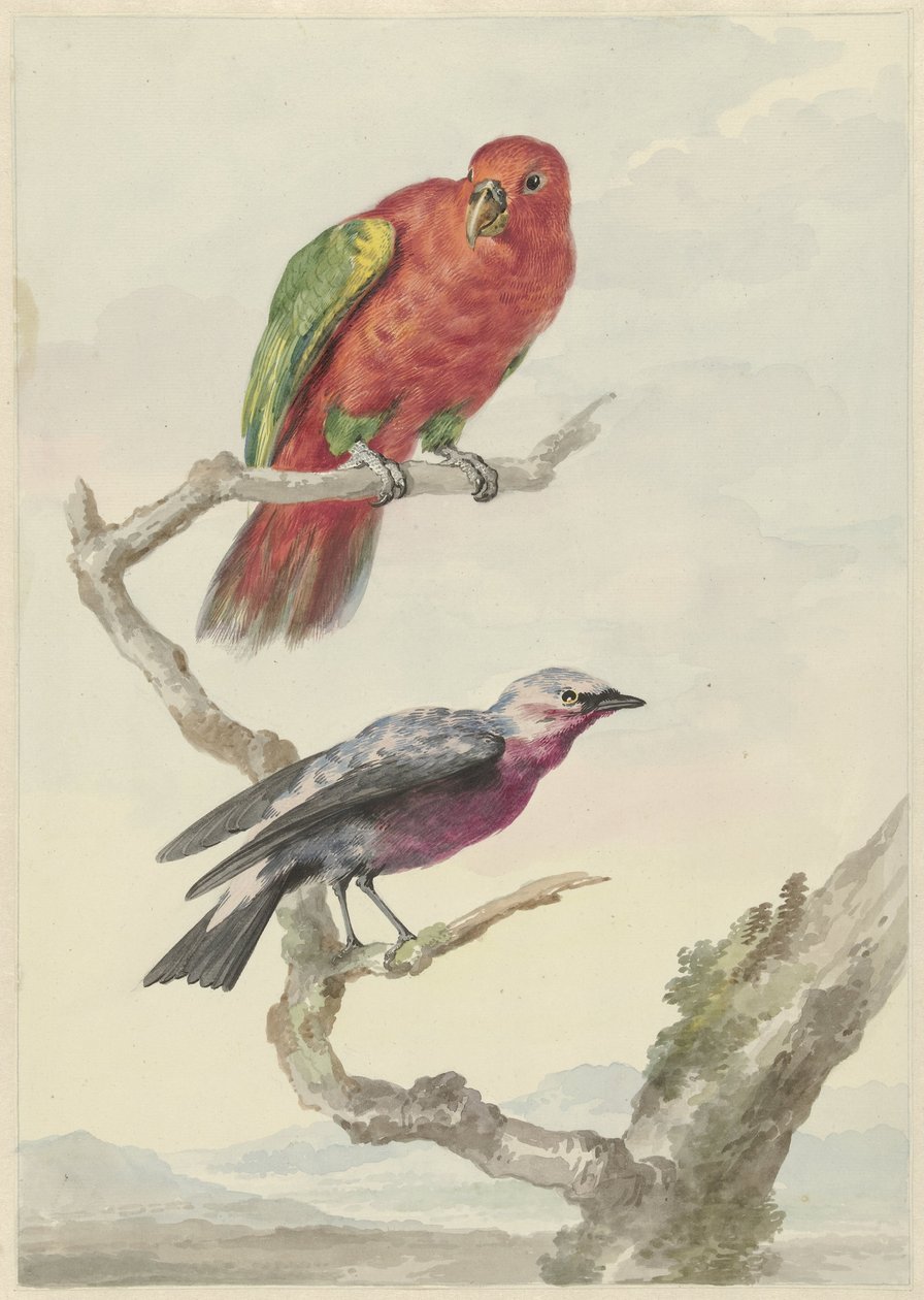 Zwei Vögel, darunter ein rot-grüner Papagei von Aert Schouman