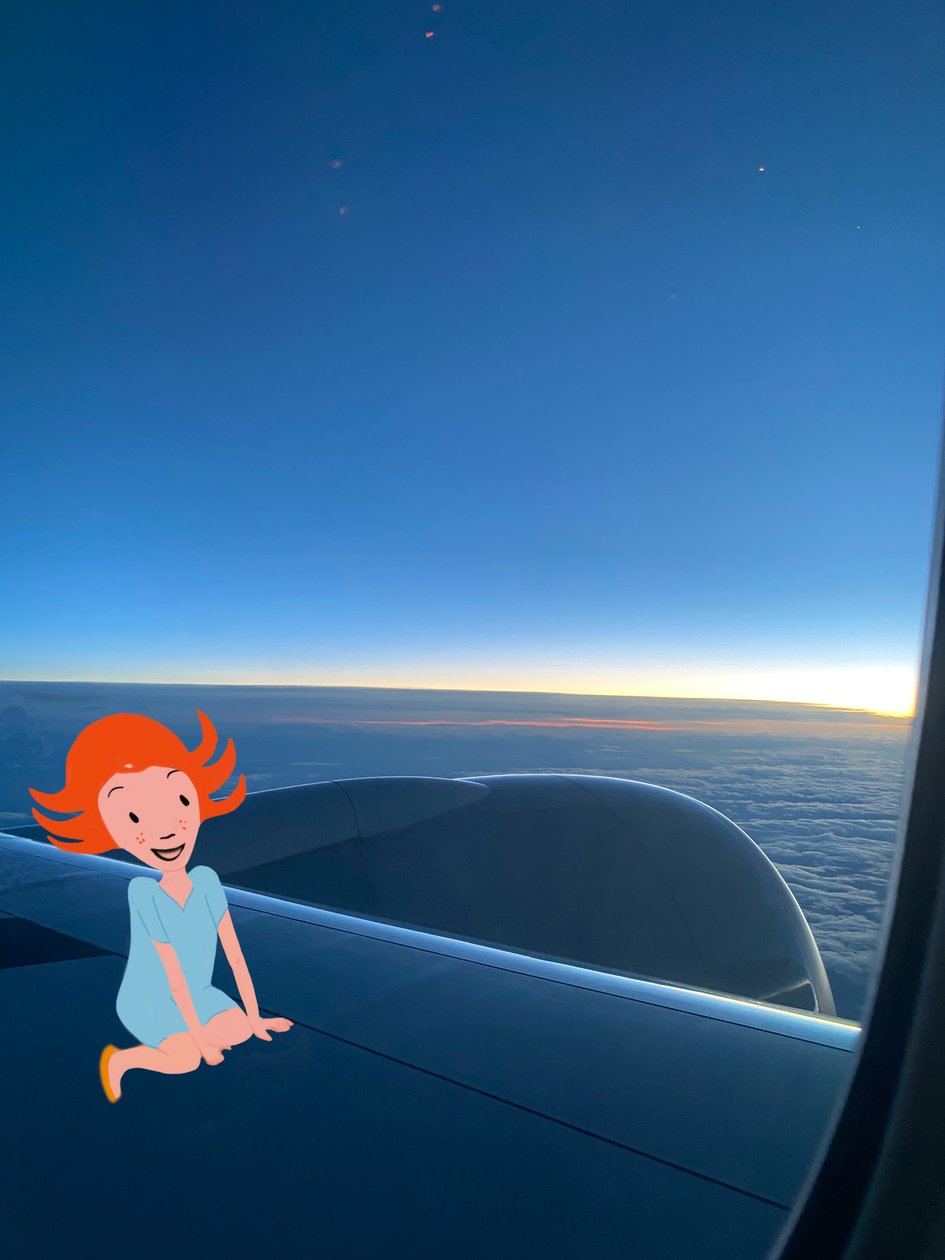 Lass uns fliegen von Agnes Girardon